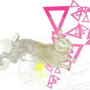 Streamline_copy_card