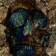 Skulldarksmall_card