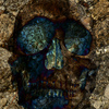 Skulldarksmall_thumb