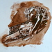 P1330342_square