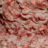 Dsc_0132_thumb