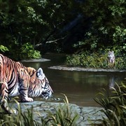 Two_tiger04_card