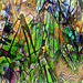 4005b1_square
