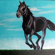 Sany0026_card