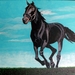 Sany0026_square
