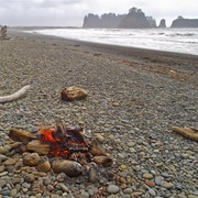 1114bonfire_on_rialto_beach__olympic_national_park__wa_card