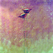 Stands_alone_card