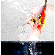 Great_white_card
