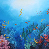 Little_swimmers_thumb
