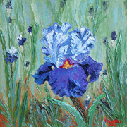Early_bloomer_card