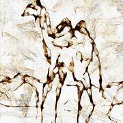 Wielblad-v_card
