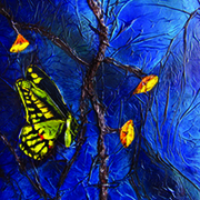 Settled_at_midnight_card