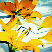 002_card