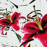 024_card