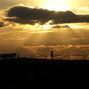 Sh103091_card