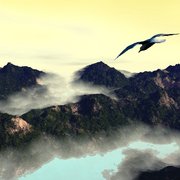 Soar_card