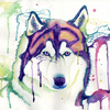 Wolf_thumb