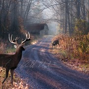 Back_home_card