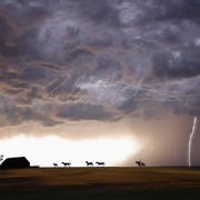 Mighty_storm_card
