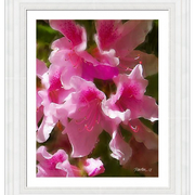 Azaleas-f_card