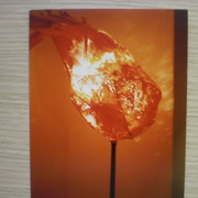 018_card