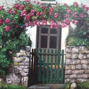 Photo-1_card
