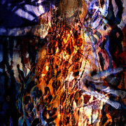 Thirtysix_copy_card
