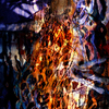 Thirtysix_copy_thumb