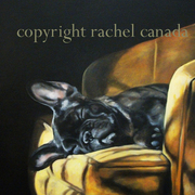 French_bulldog_copyright_card