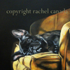 French_bulldog_copyright_thumb