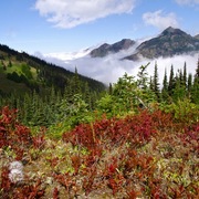 Clouds__hurricane_hill_trail__olympic_national_park__wa__card