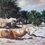 Dscn0470_tiny_square