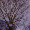 Katie_dougherty6_thumb