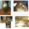 Eagle_4-pics_together_thumb