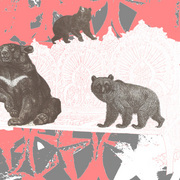 The_bears1_card