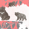 The_bears1_thumb