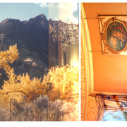 Goldensky_card