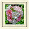 Fyl_4929_pic_thumb