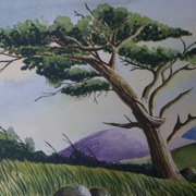 Img_0727_card