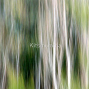 1139943-1-colour-and-motion-study-7_watermark_card