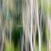 1139943-1-colour-and-motion-study-7_watermark_thumb
