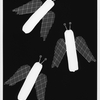 Flying_sausage_attack_thumb