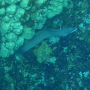 P6090324_card