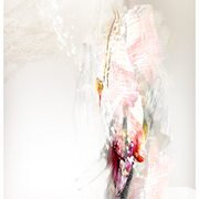Painted_feather_card