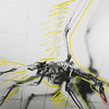 Labrea_bird_thumb