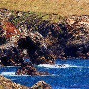 Rocky_point_view_card