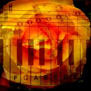 Rising_card