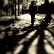 Shadow_card