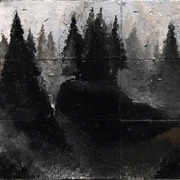 Foggy_landscape_brandon_roth_2012_lores_card