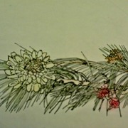 Pine_card